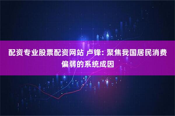 配资专业股票配资网站 卢锋: 聚焦我国居民消费偏弱的系统成因